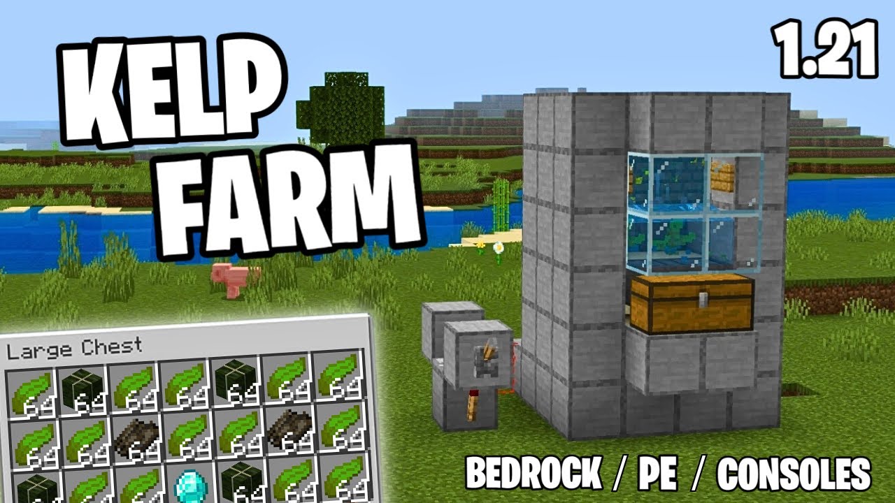 Easy Kelp Farm 1.21 (0-tick) - Minecraft Bedrock and Mcpe Tutorial