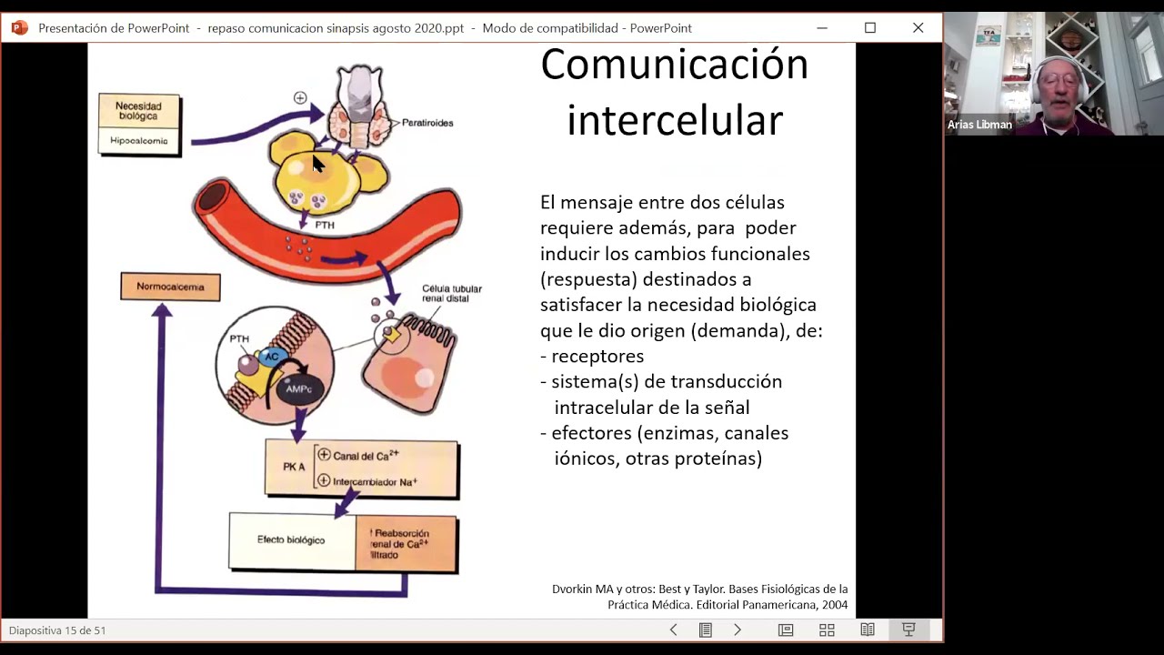 Clase de repaso Crecimiento y Desarrollo - Comunicación intercelular/Sinapsis