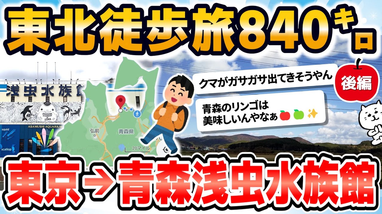【徒歩ニキ2020】【実況】東京駅から青森浅虫水族館まで歩く［後編］岩手県　青森県