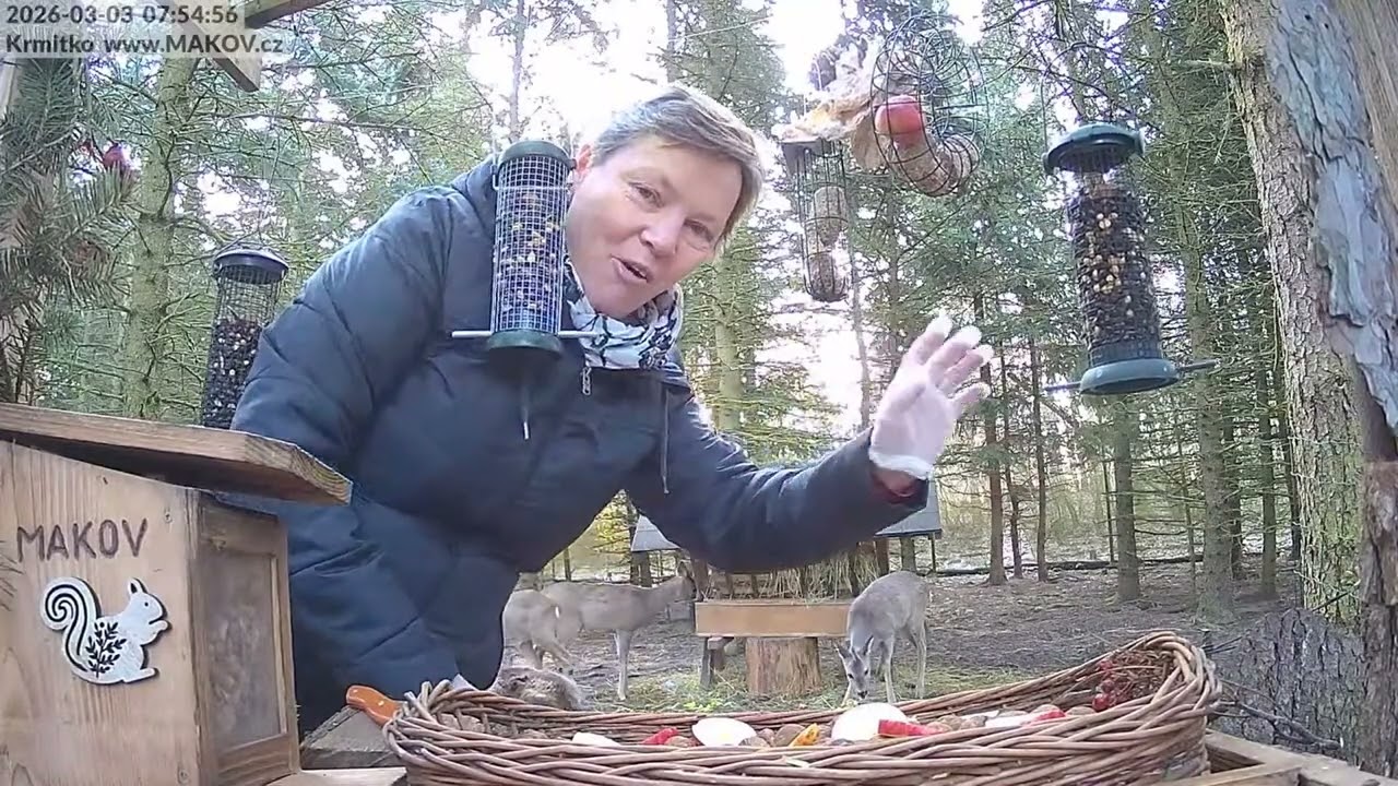 3.3. - úterní krmení a mávání s Jiřinkou a snídaně se srnkami a Mufinkou