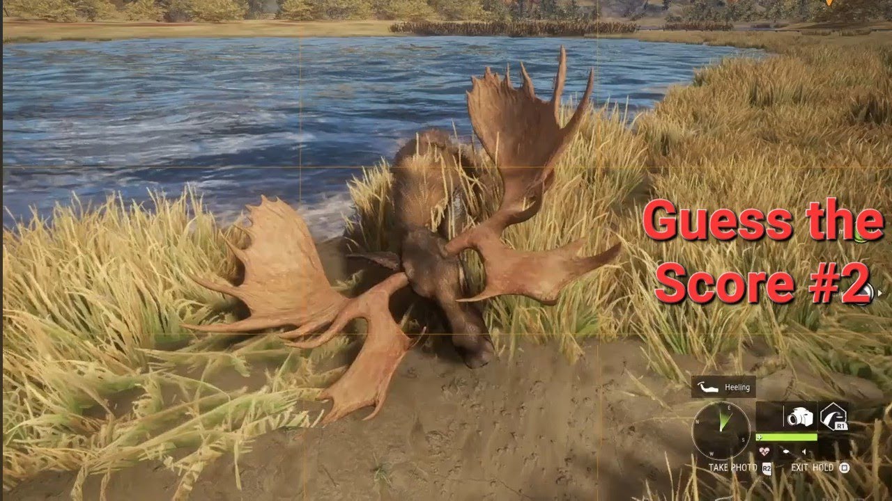 Guess the Score #2 Moose /TheHunter Call of the Wild Guess the Score
