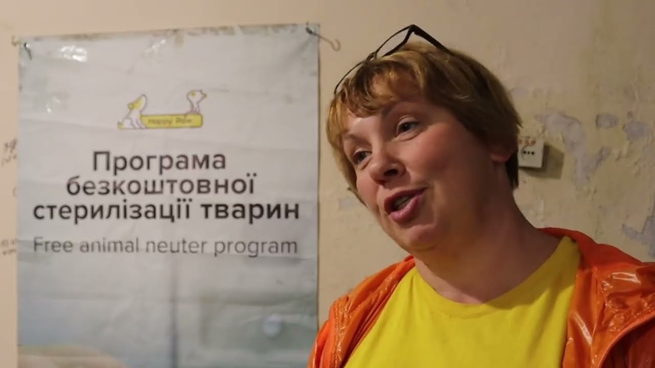 Безкоштовна стерилізація безпритульних тварин у Марганці