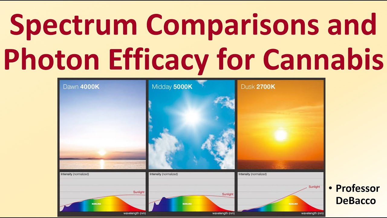 Сравнение спектров и эффективность фотонов для каннабиса
