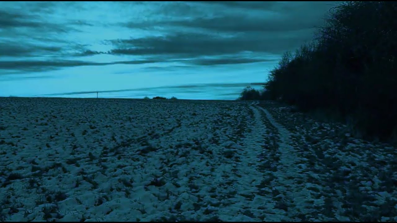 Sunkats - Out in the cold (Short Music Video)