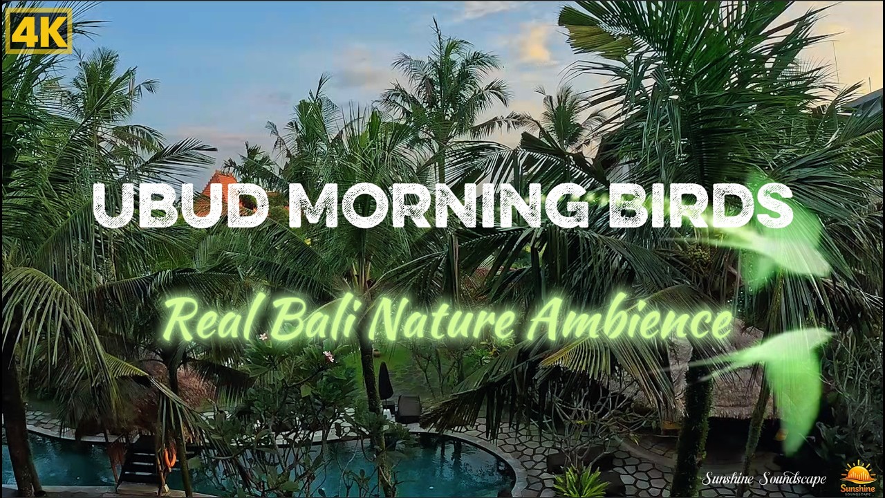 Ubud Morning Birds & Palm Garden (60 Min) | Real Bali Nature Ambience