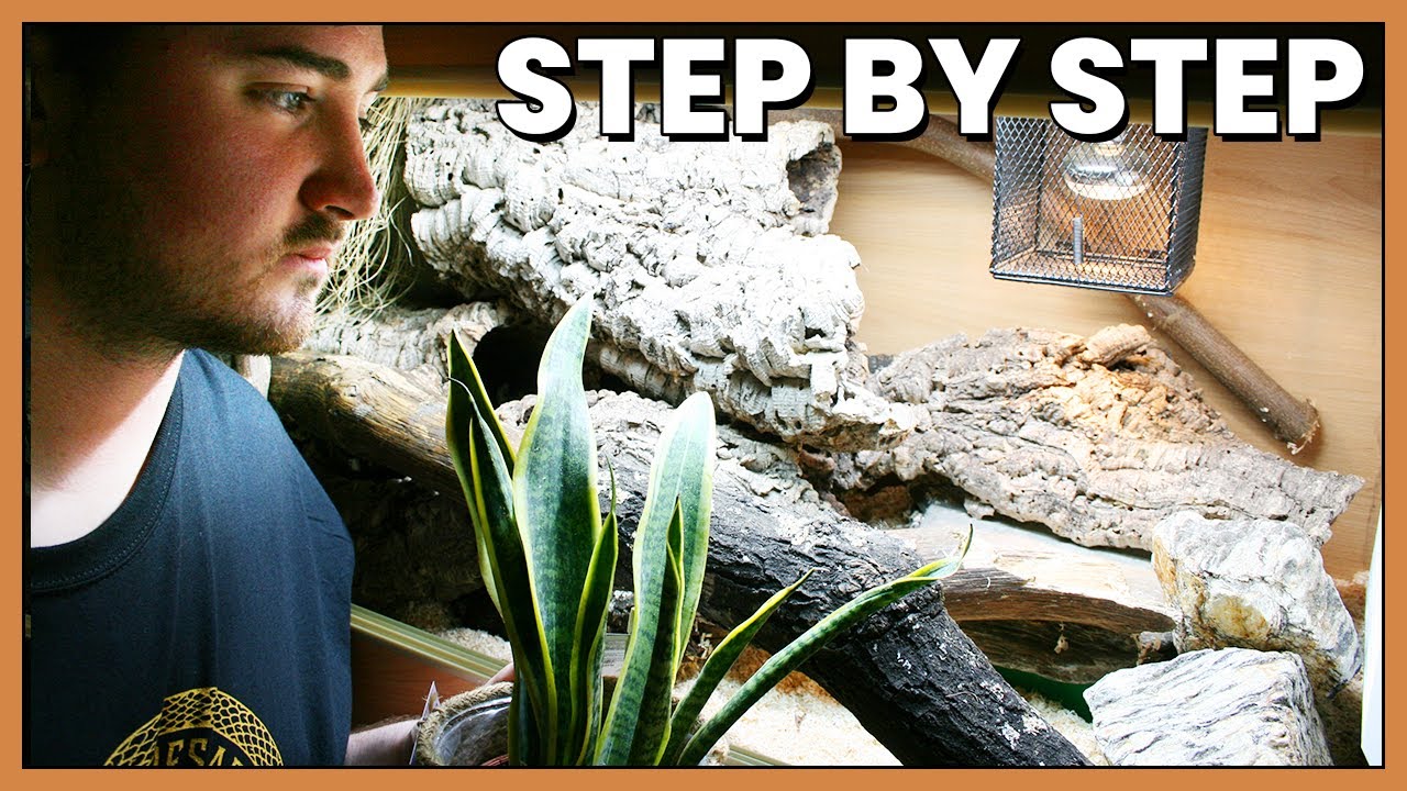 How To Set Up a Snake Enclosure!