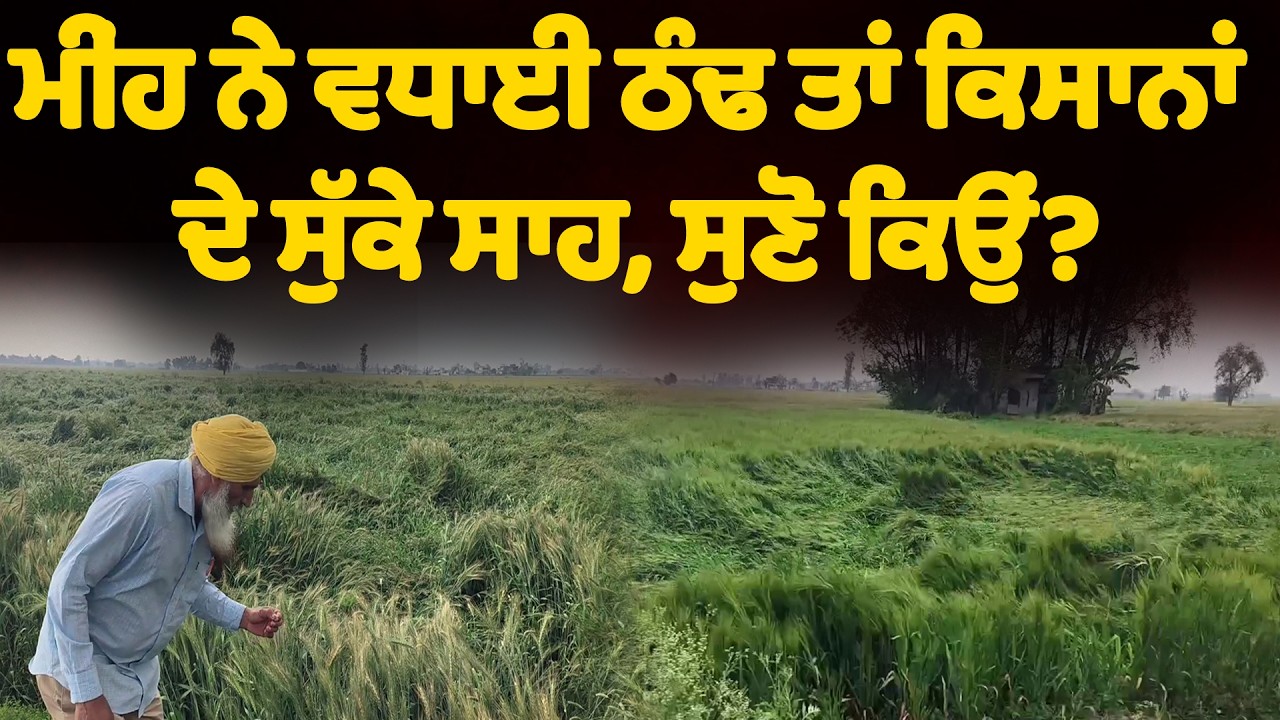 ਮੀੰਹ ਨੇ ਵਧਾਈ ਠੰਢ ਤਾਂ ਕਿਸਾਨਾਂ ਦੇ ਸੁੱਕੇ ਸਾਹ,ਸੁਣੋ ਕਿਉਂ?
