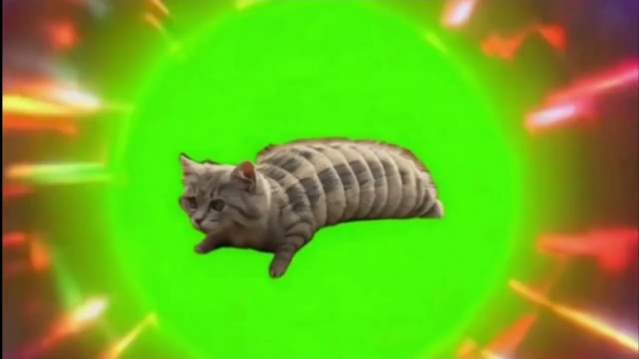 Galactic Rave 2026: котогусеница на Омуамуа