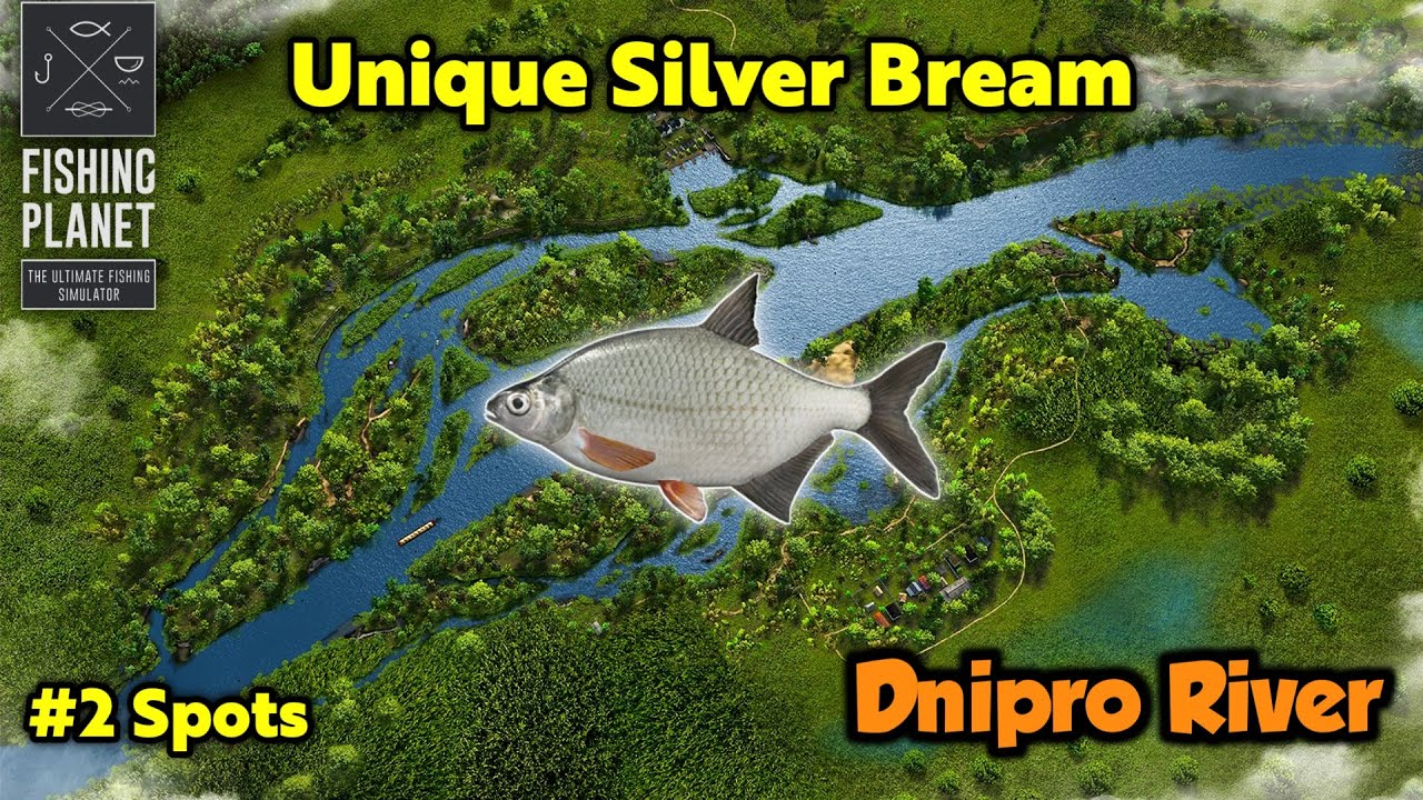 Unique Silver Bream Dnipro River - Fishing Planet