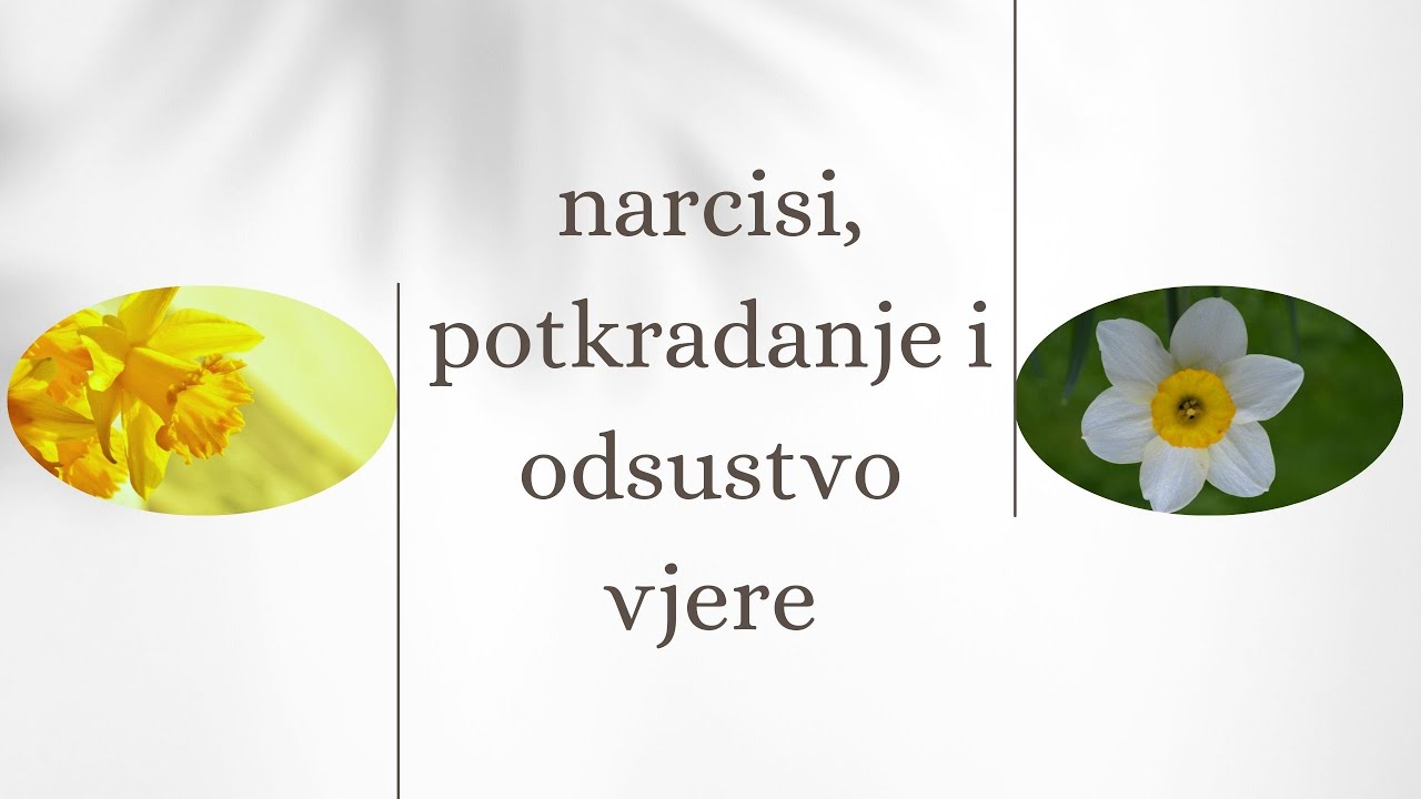 Narcisi, potkradanje i odsustvo vjere
