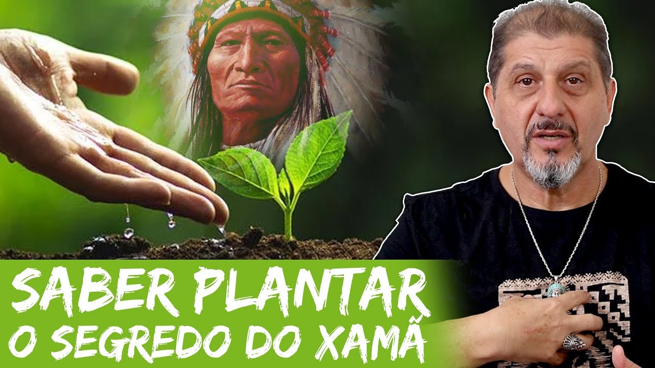 O Grande Segredo do Xam&atilde; para voc&ecirc; come&ccedil;ar a fazer Hoje... | Xamanismo em Voc&ecirc;! #197