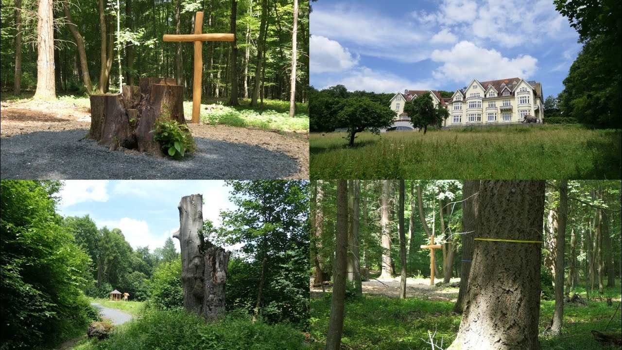 Fotoimpressionen - FriedWald Neuwied-Monrepos