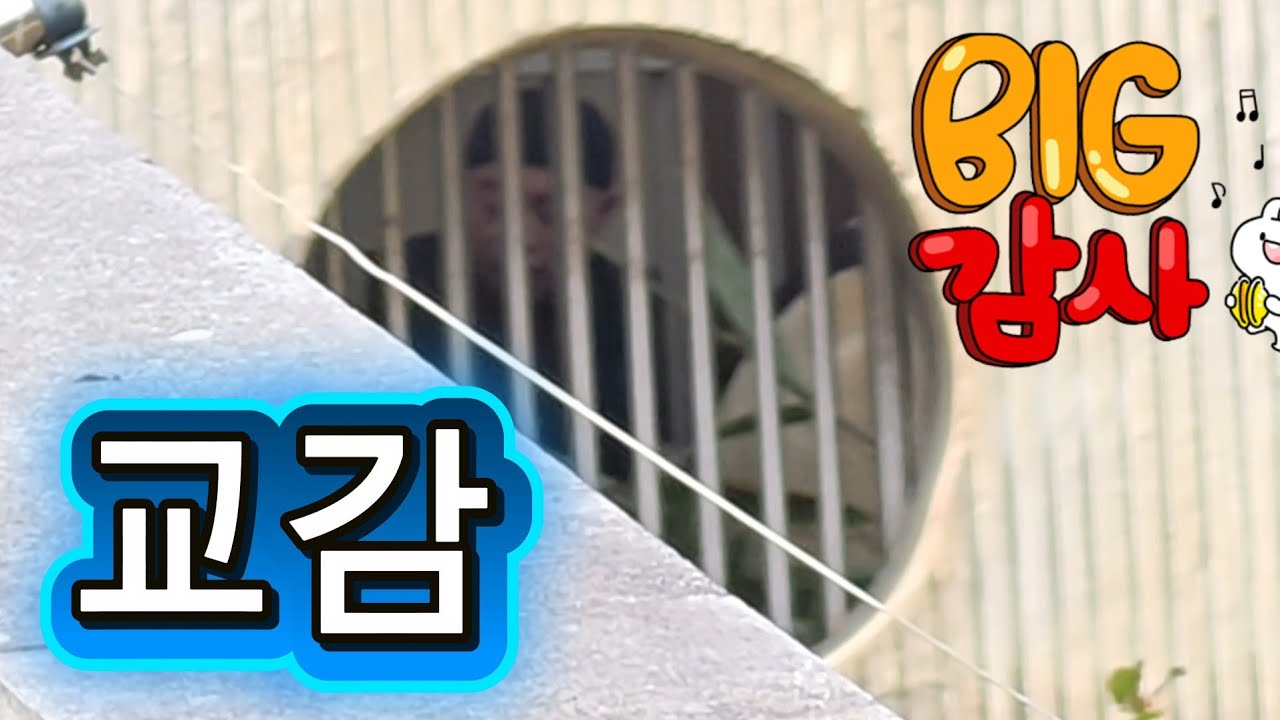 2/15 푸바오실시간 오후(1) 오늘은 양사육사님이 교감하며 눈 맞주춰주네요 감사합니다