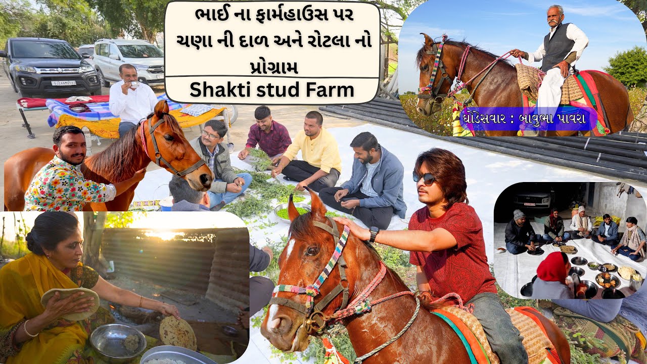  ભાઈના ફાર્મહાઉસ પર વિતાવેલો એક યાદગાર દિવસ  Vlog#306 