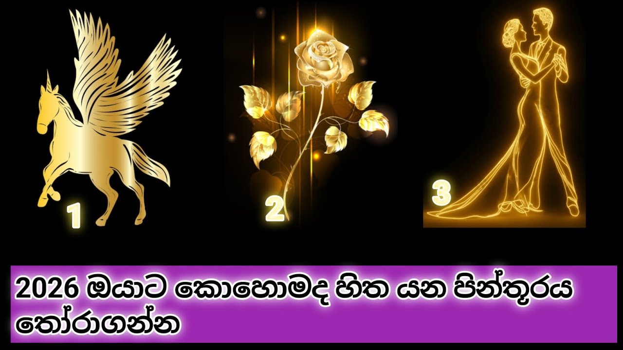 2026 ඔයාට wena දේවල් බලන්න.#love #marriage #jobe #education #life #tarotreading 