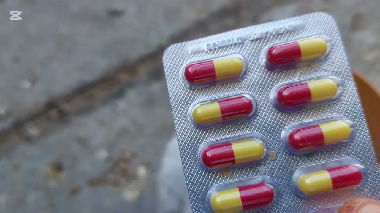 (57) علاج مرض النيوكاسل والتهاب القصبات الهوائية وأسباب الاصابة