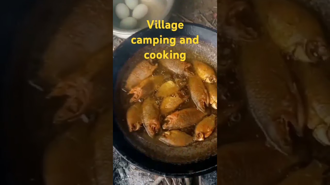 Village camping and cooking#villagecamping#c #camping #campingandcooking