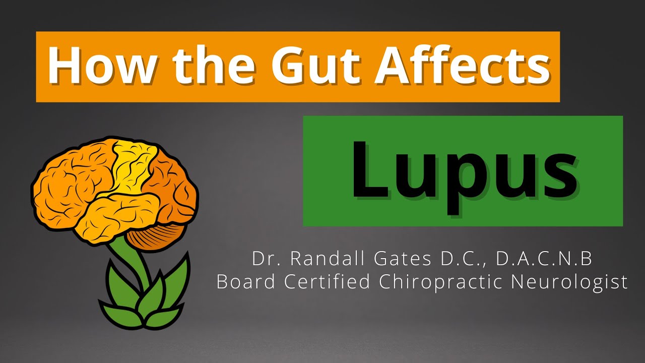 How the Gut Affects Lupus