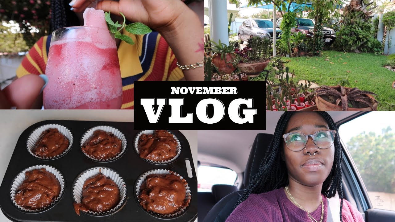 VLOG | chocolate chip muffins🍫🧁, rose garden brunch🌹 & more..