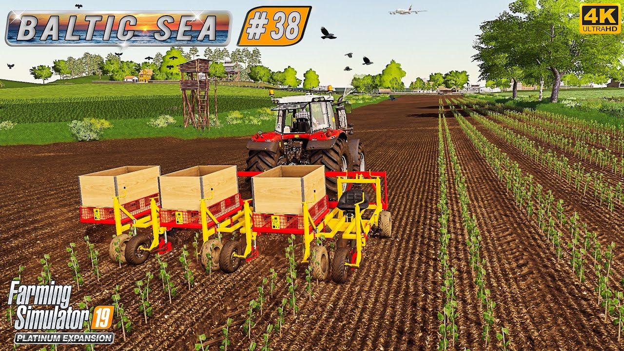 Spreading Digestate & Fertilizer. Planting Grass & Poplar ⭐ Baltic Sea #38 ⭐ FS19 4K Timelapse