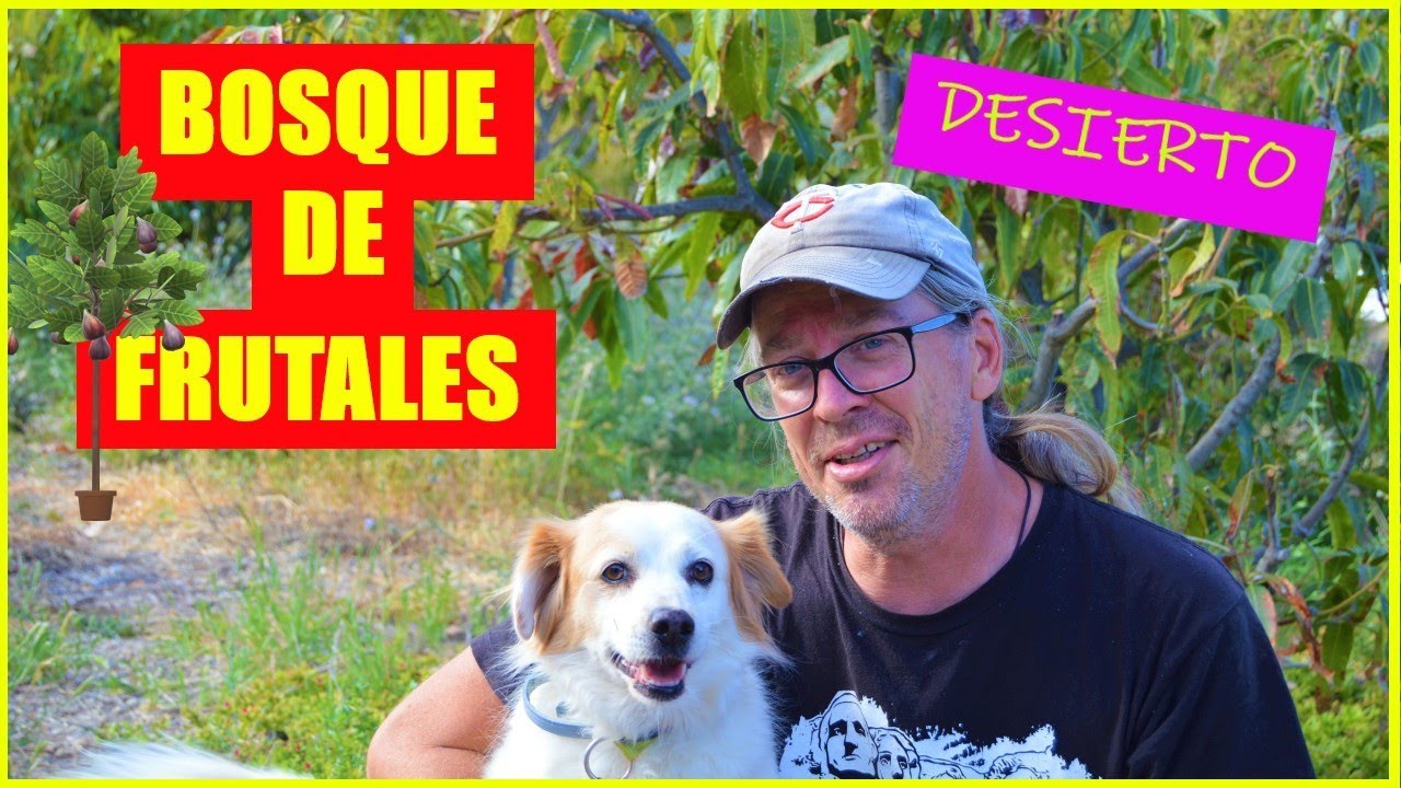 BOSQUE COMESTIBLE de PERMACULTURA🌴(BOSQUE de ALIMENTOS).ÁRBOLES FRUTALES en el DESIERTO.HUERTO tour