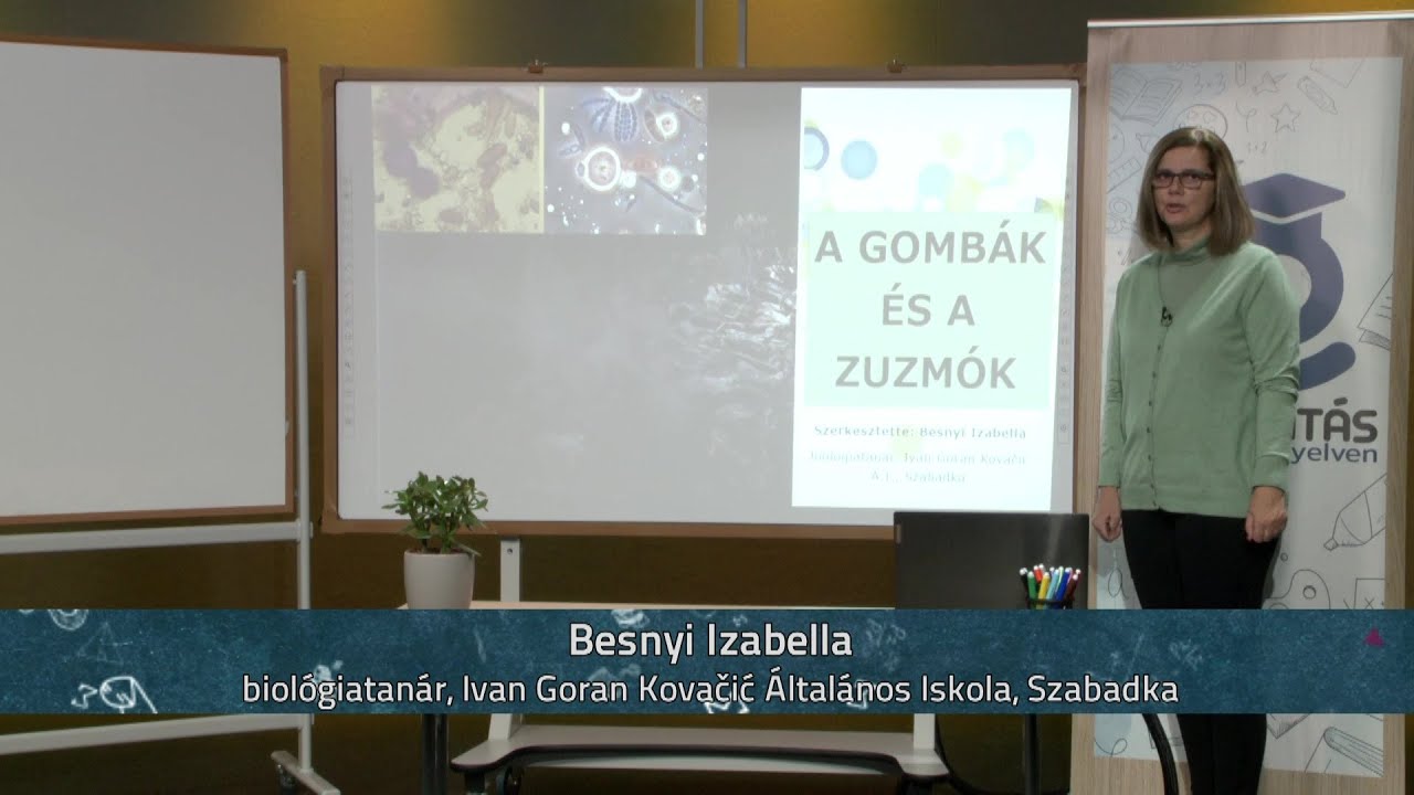 A gombák és a zuzmók