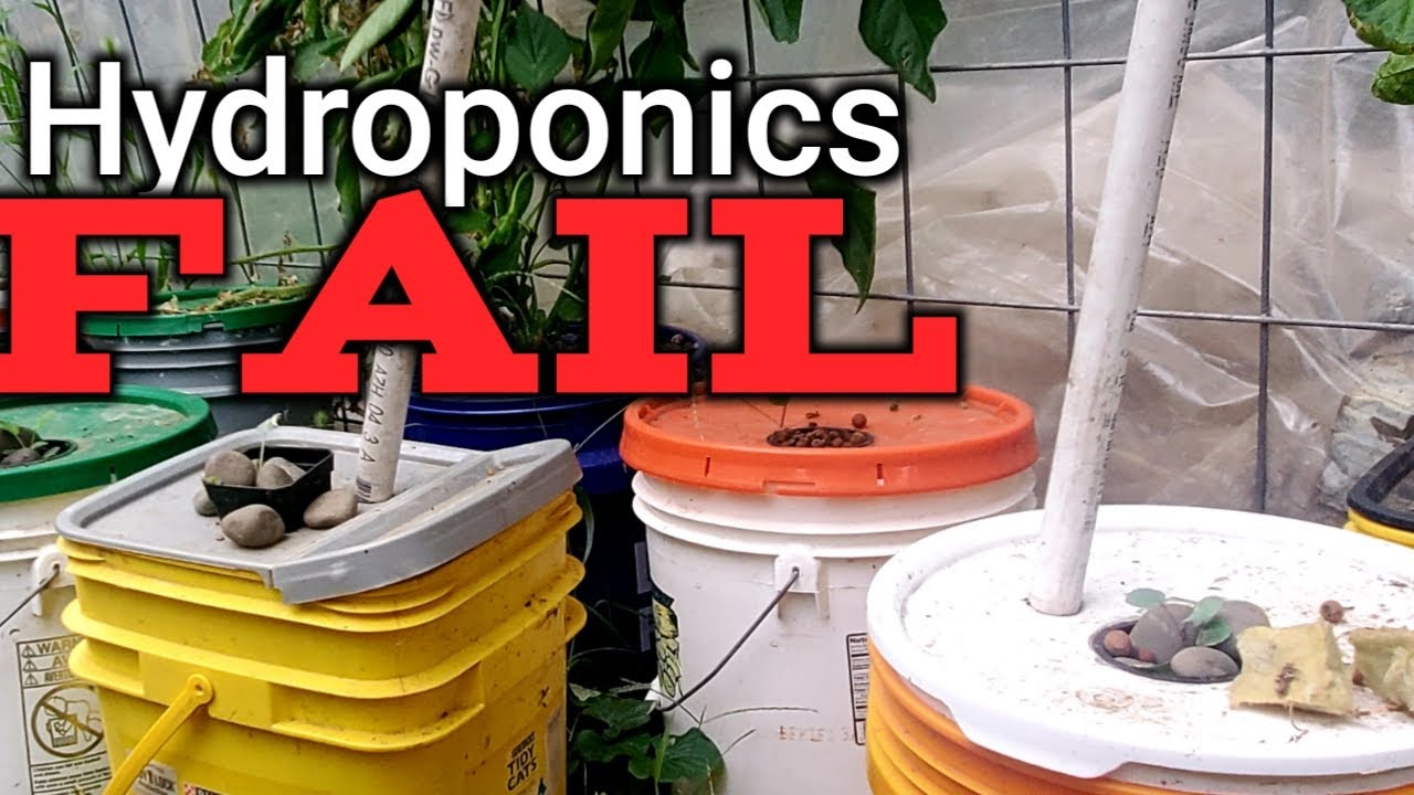 Kratky Hydroponics FAIL-5 Ways To Screw Up Your Hydro