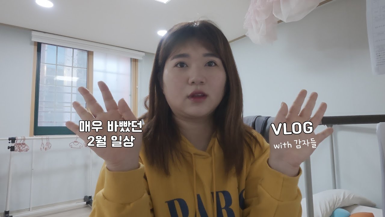 [Vlog] 너무 바빴던 2월의 어느 일상들 | 그와중에 버논 도겸 생카 뿌시기 | 한성양꼬치, 김덕후곱창조, 남대문시장