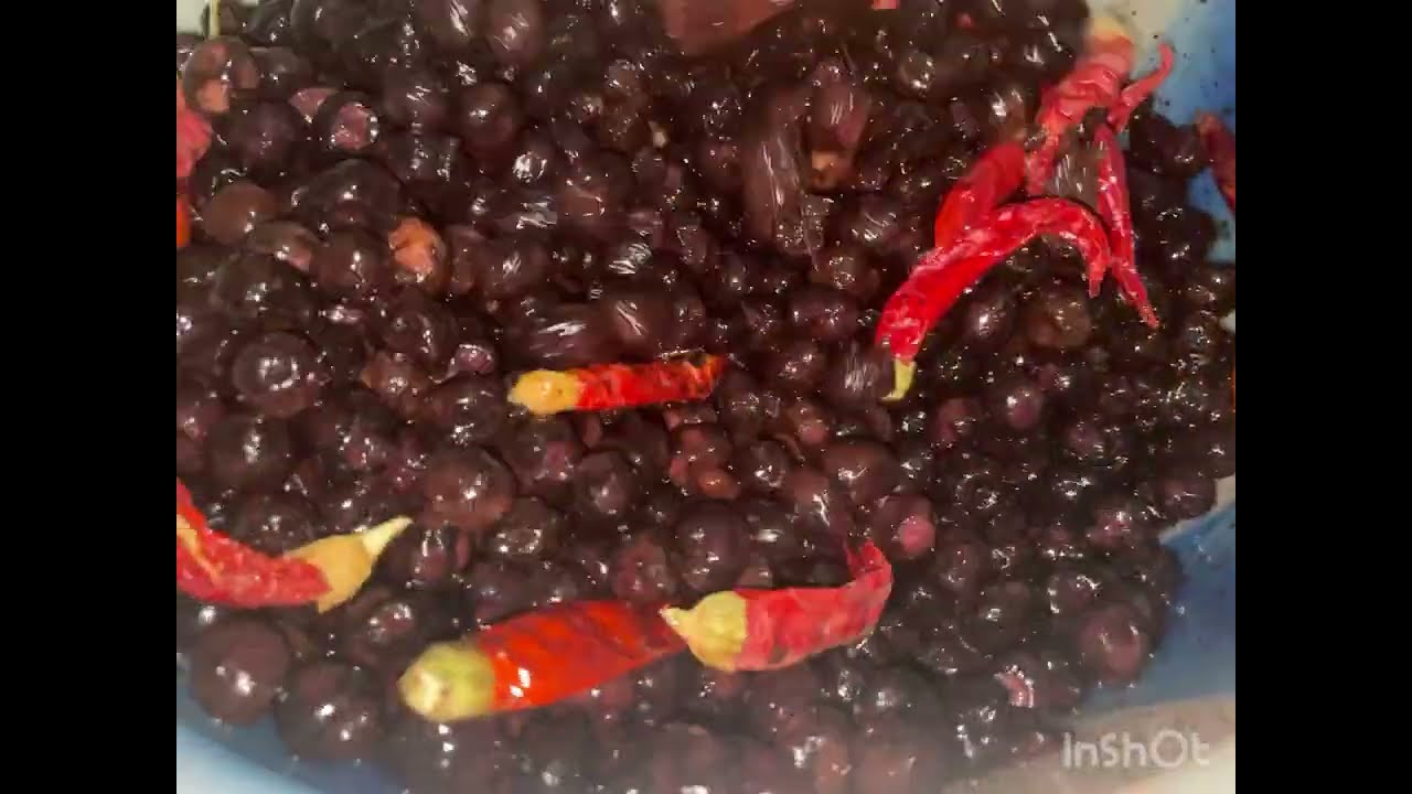 ترقد زيتون بالسرع طريقة تحضير بالملح فقط