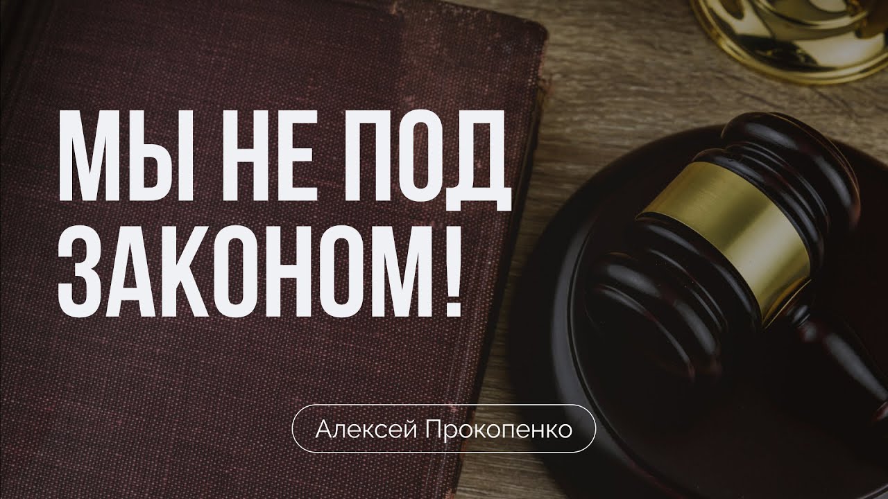 Мы не под законом | Отвечаю комментаторам (часть 4) | Алексей Прокопенко