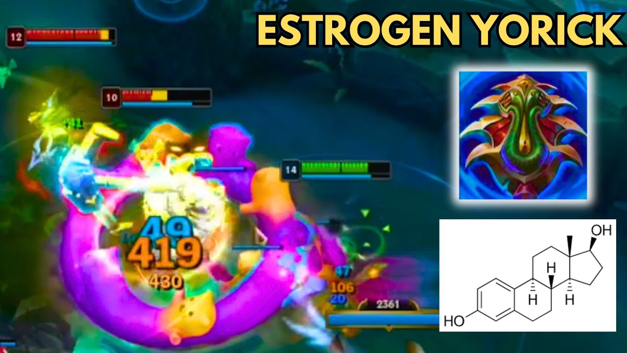 ESTROGEN YORICK SETUP