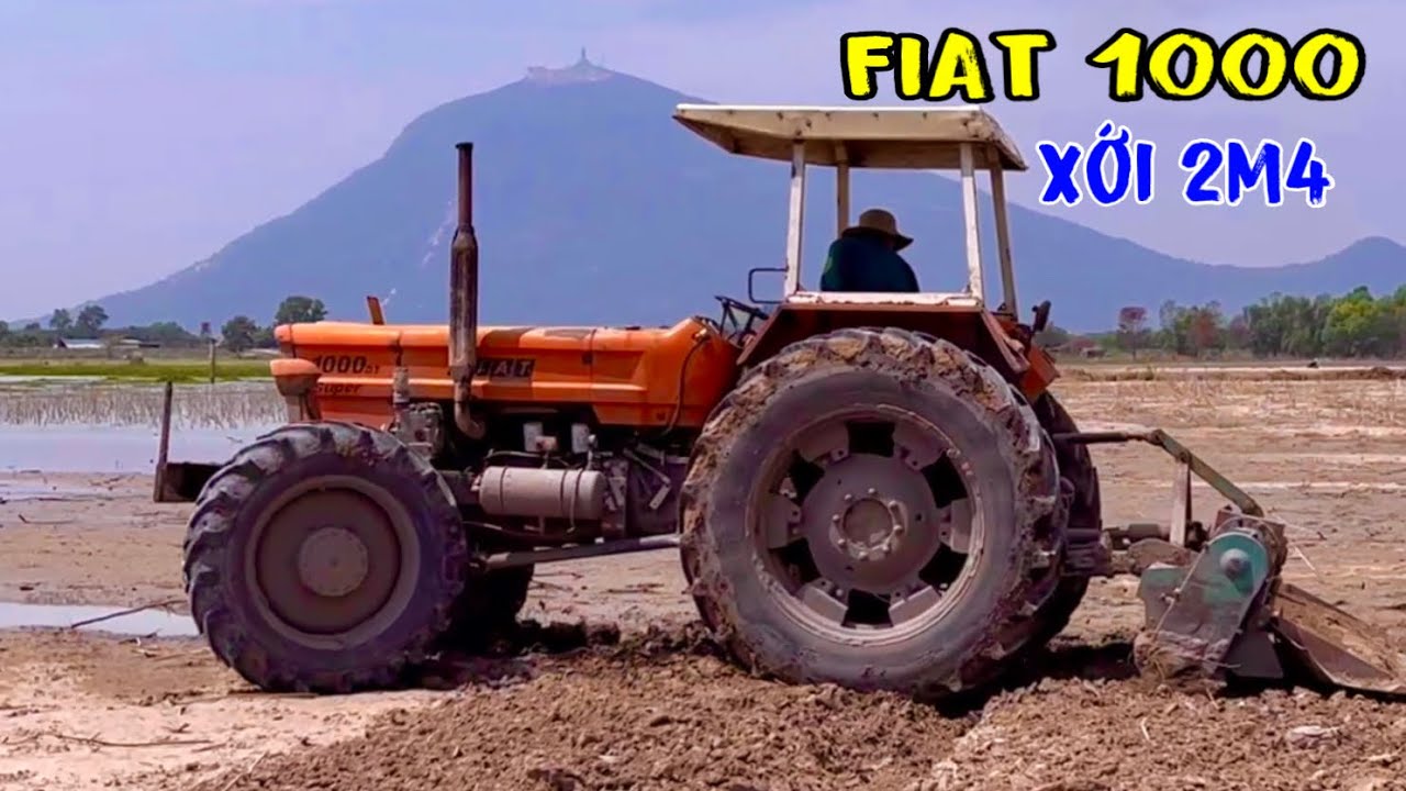 Khủng long máy cày fiat 1000 xới đất trồng mì mùa nước rút ở hồ dầu tiếng, thiện vũ tv
