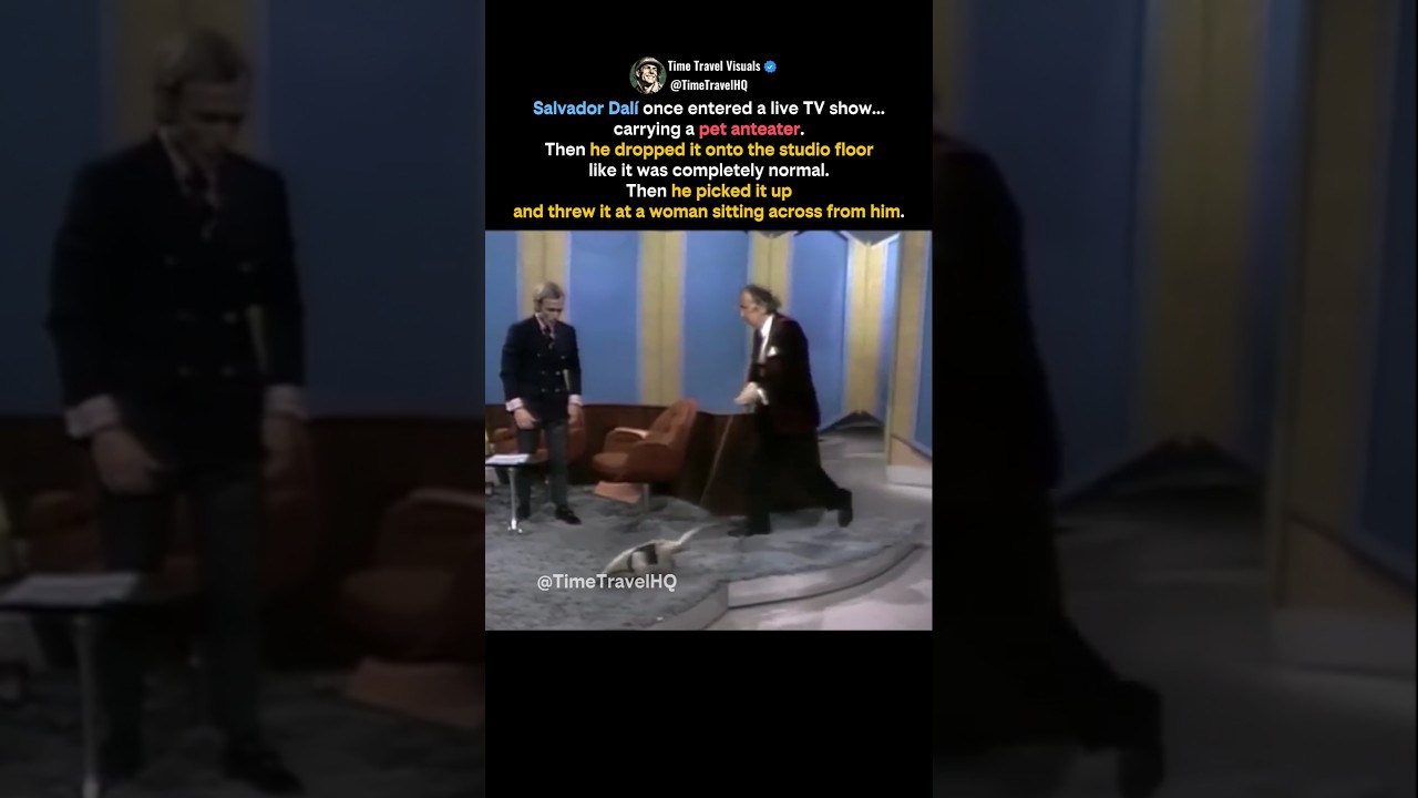 Salvador Dal&iacute; Brought a Pet Anteater on Live TV&hellip; and Nobody Was Ready #shorts
