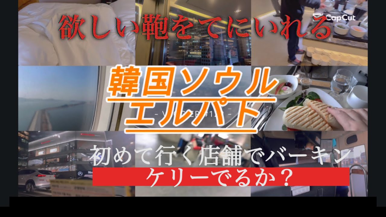 【韓国エルパトシリーズ】ミニケリーチャレンジ！！韓国ソウルエルメス一見で枠が手に入るのか？