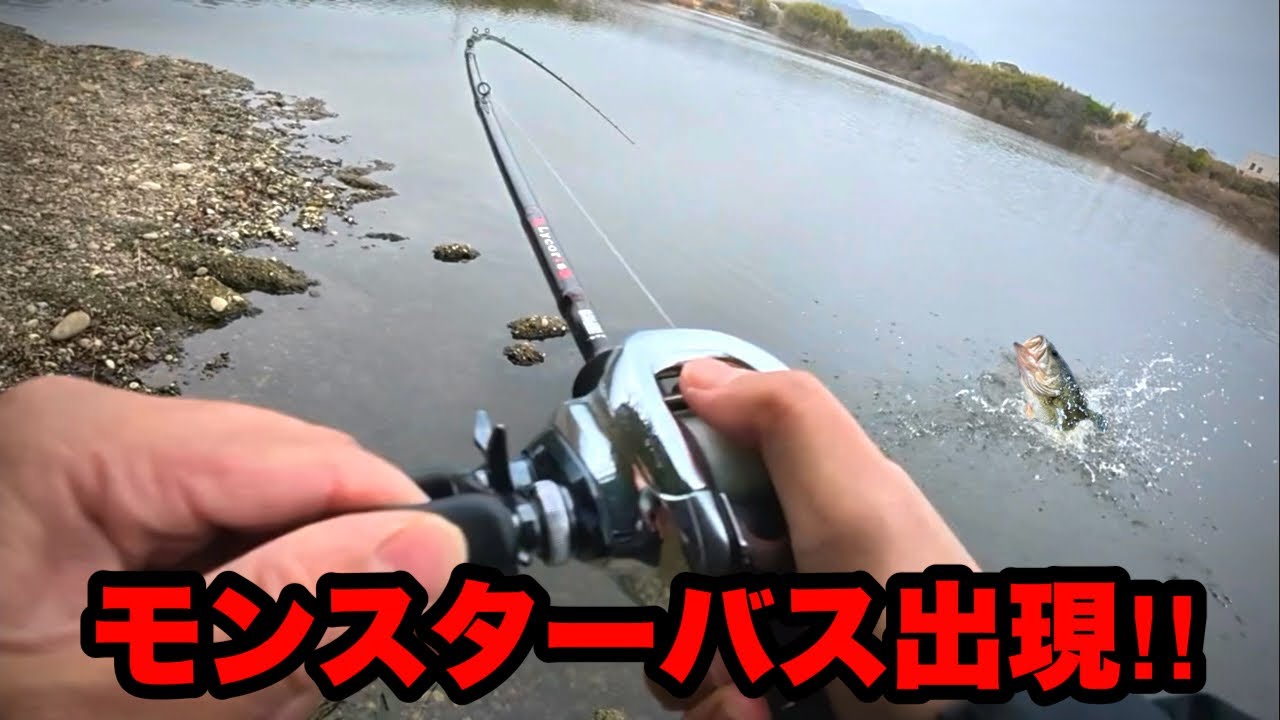 以前ロクマルを釣った池にもう一度本気でロクマルを狙いに行って見た。