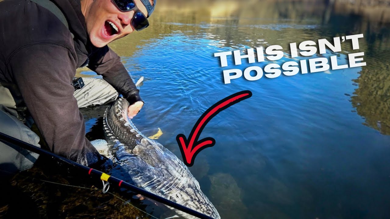 I Caught The Same STURGEON 3 Times (NO WAY!!!)