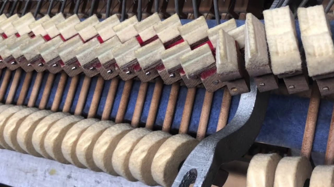 Mold in Piano