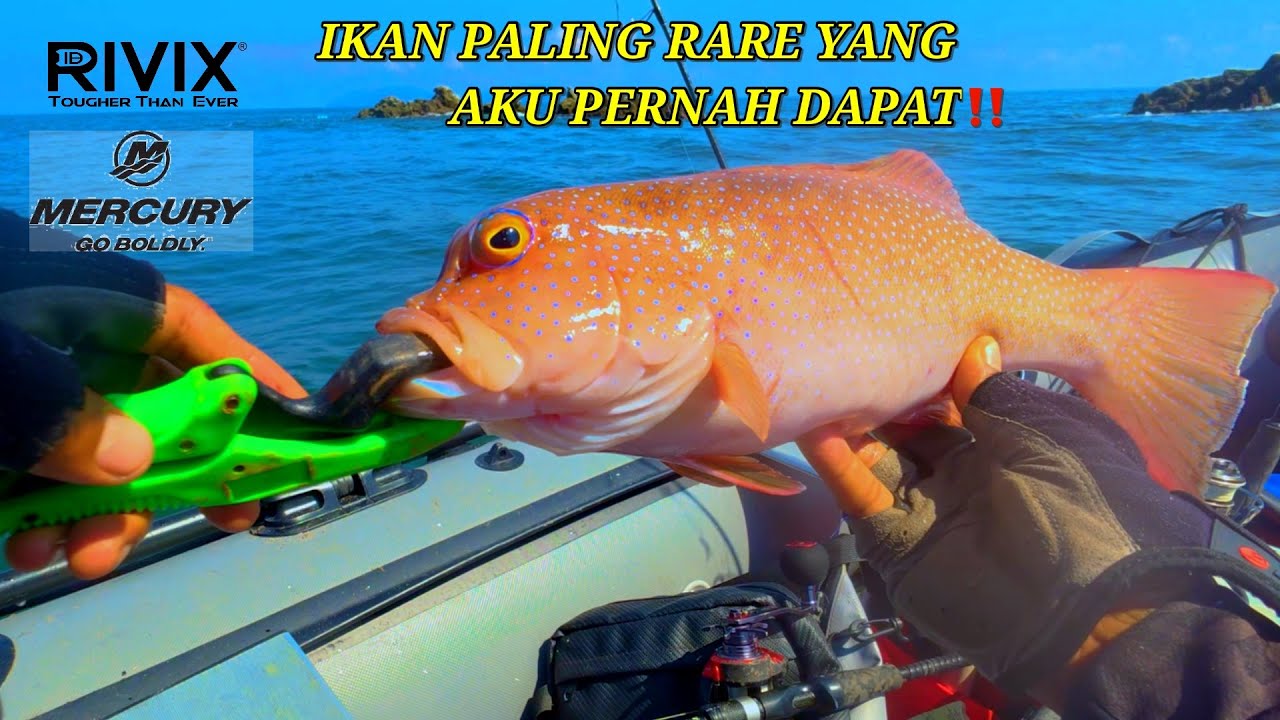 STRIKE NON STOP MUSIM JELOK ( MONSOON BREAK) INFLATABLE BOAT FISHING MALAYSIA