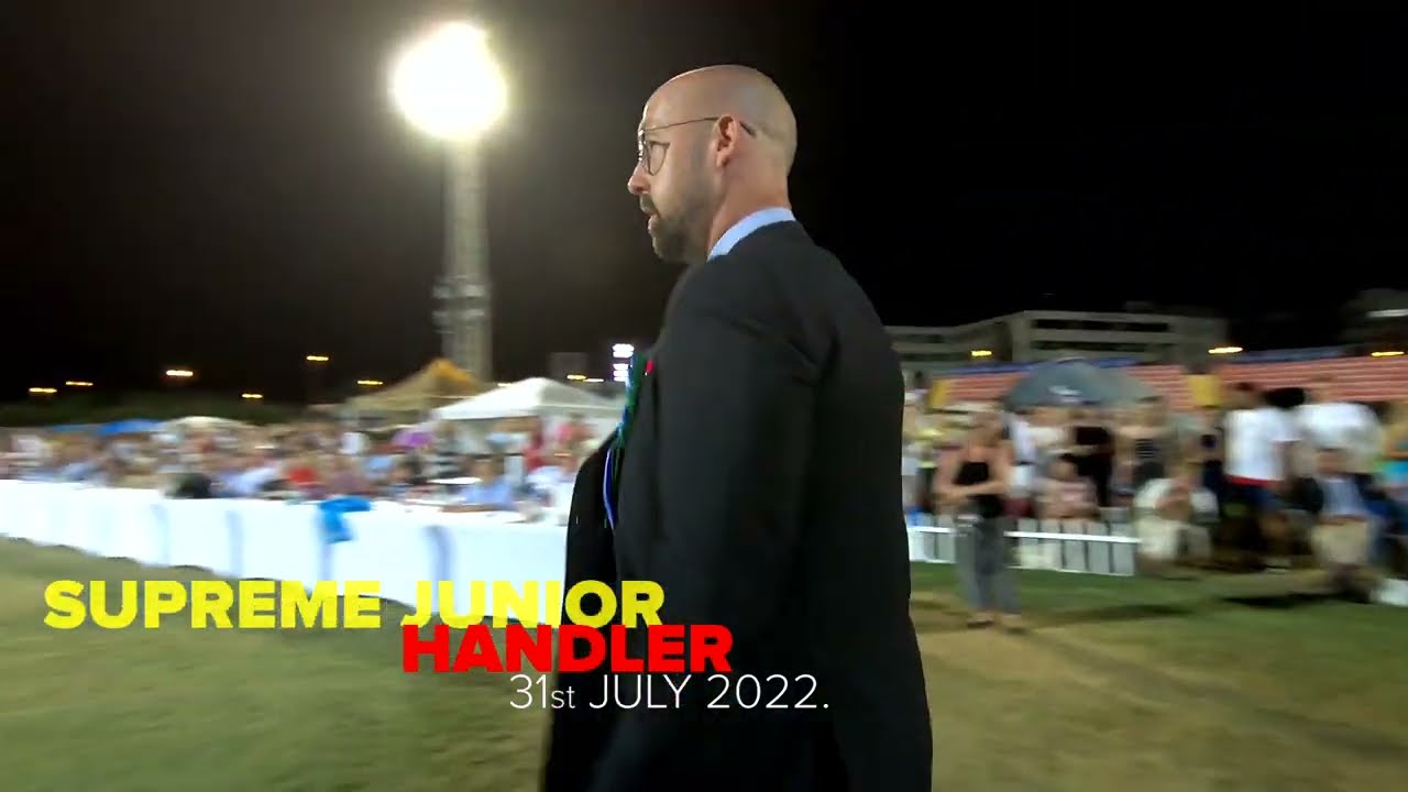 2022 - 4 Summer night shows Split - SUPREME JUNIOR HANDLER  - Jason Lynn - United Kingdom