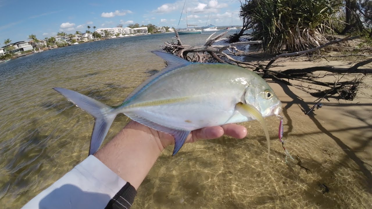 Catching Small Trevally - Land Based Fishing Noosa
