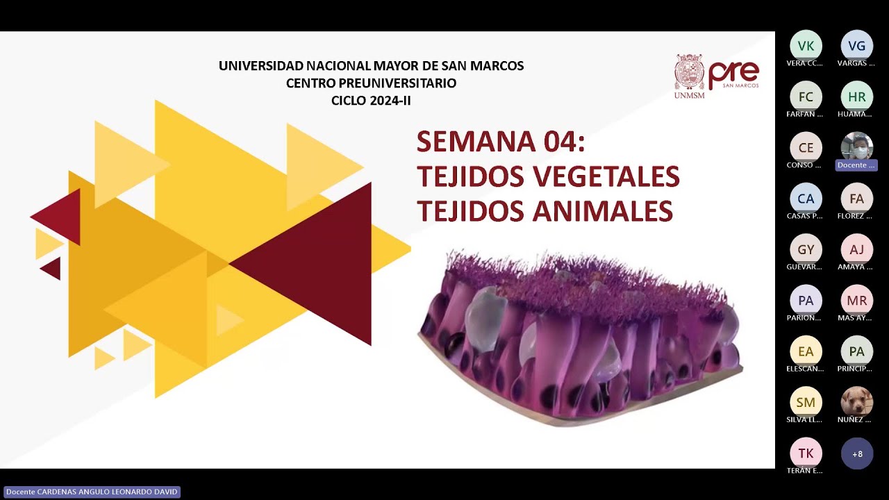 Biología - Semana 04 - Pre San Marcos Ciclo 2024-II (Nuevo Ciclo)