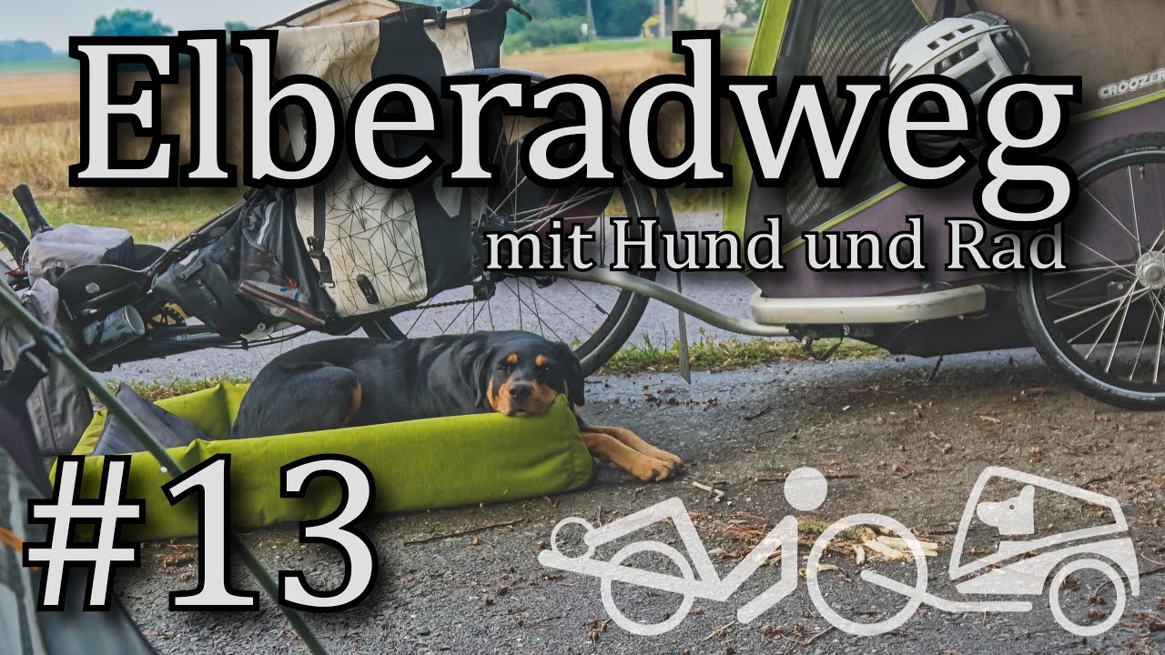 #13 alles in Ruhe ... / mit Hund und Rad auf dem Elberadweg, Hamburg-Tschechien