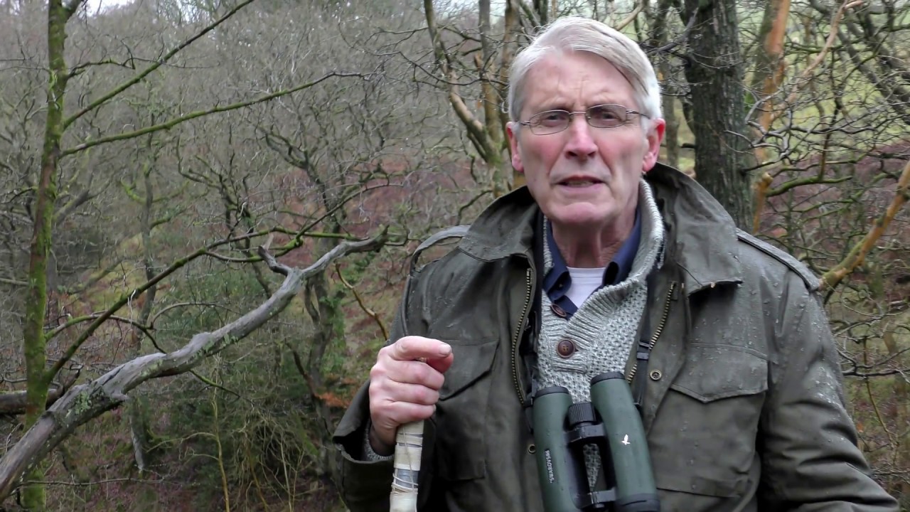 Terry Pickford talks with passion about an increased threat to raptors on grouse moors