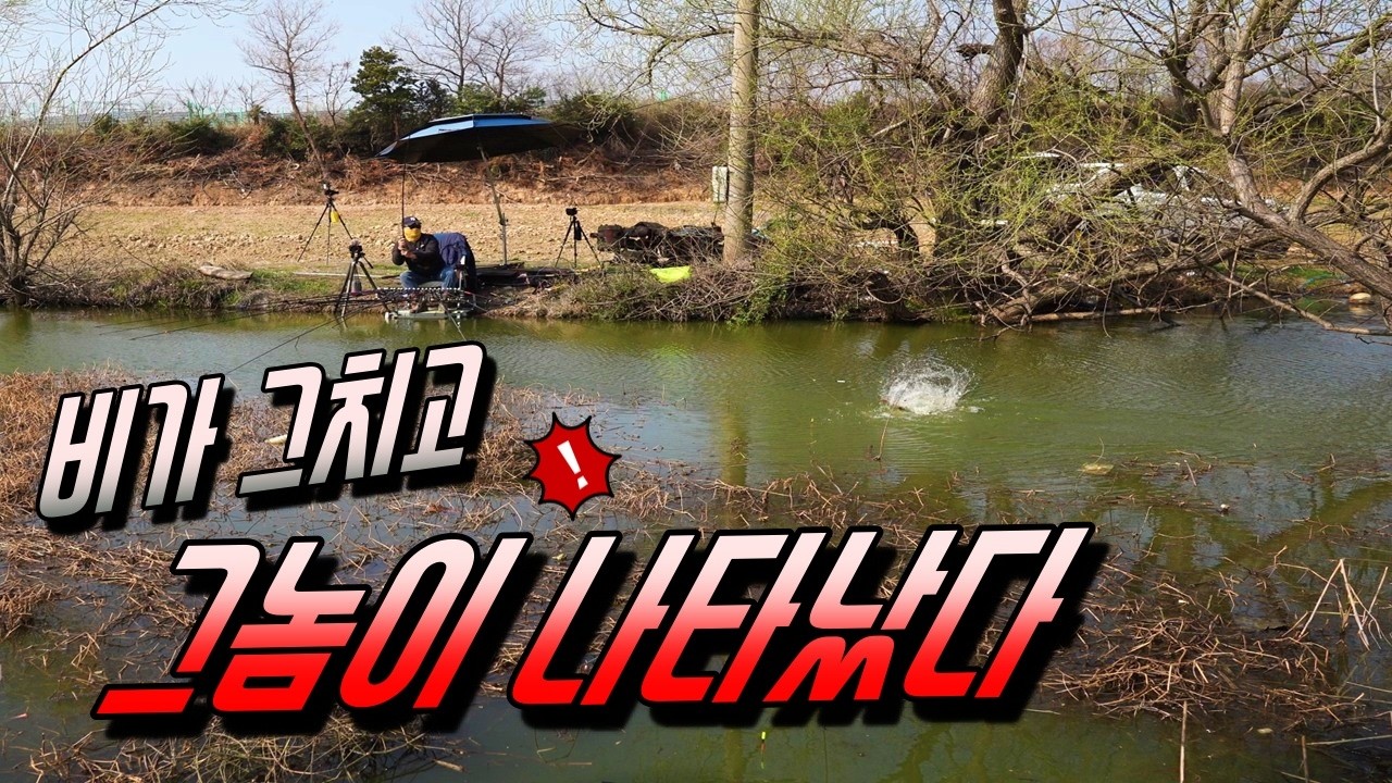 봄비 내리던 산란장.. 비가 그치고 그넘이 나타났다!!