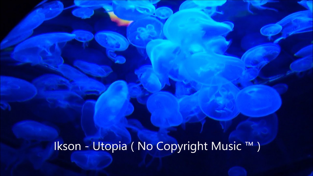Ikson - Utopia  🎵 ( No Copyright Music ️&trade;️ )
