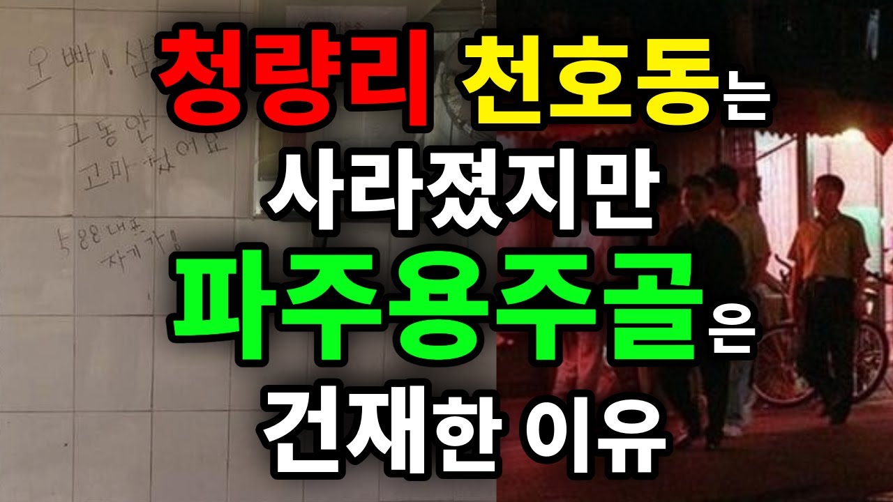 청량리, 천호동는 사라졌지만 파주용주골은 건재한 이유 - 원더풀 인생후반전