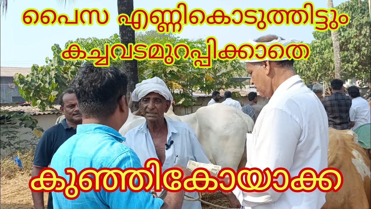 പൈസ എണ്ണികൊടുത്തിട്ടും കച്ചവടമുറപ്പിക്കാതെ കുഞ്ഞികോയാക്ക🔥