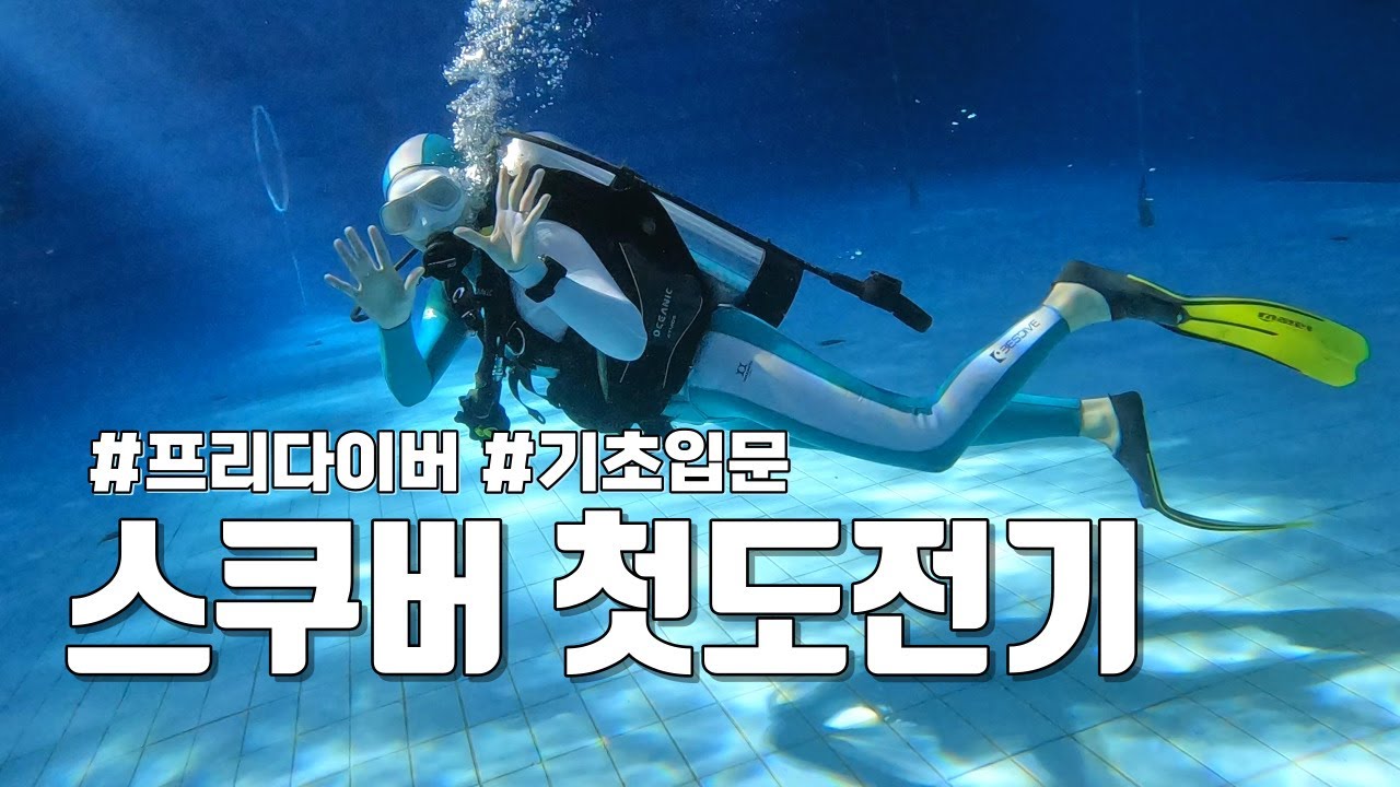프리다이버의 스쿠버 첫 도전🫧 | 스쿠버다이빙 기초,입문 | 자격증 첫날 수업 | 수원잠수풀