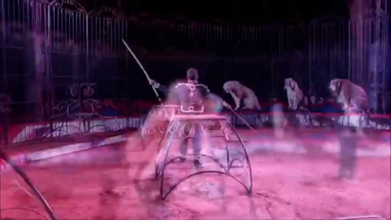La Piste Aux Etoiles Clip Video