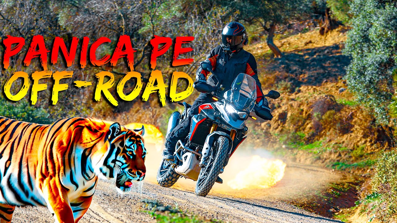 ATACAT DE TIGRII IN SPANIA - Triumph Experience #1